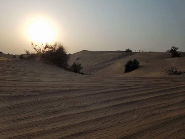ドバイの砂漠を探検に。