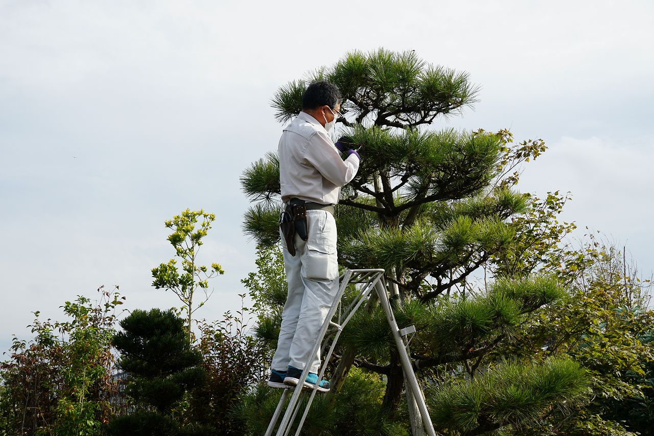 西片植木園様